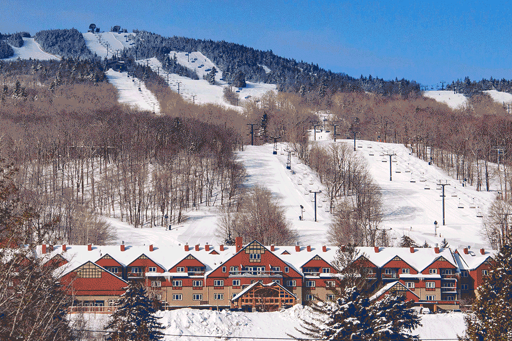 2024 Cyber Sale Digital Images