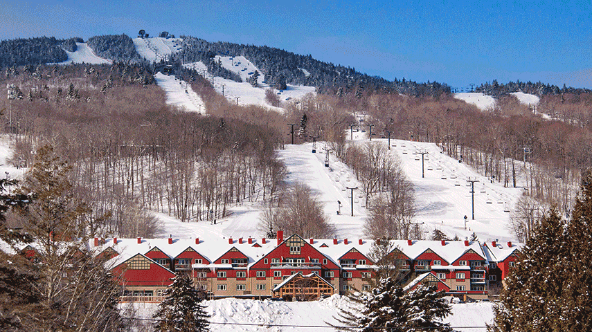 2024 Cyber Sale Digital Image